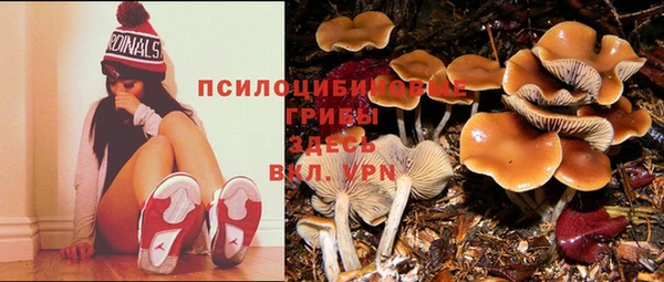марки lsd Балабаново