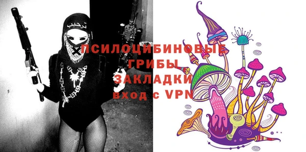 спиды Каменногорск
