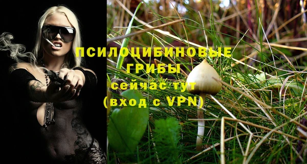 спиды Балахна
